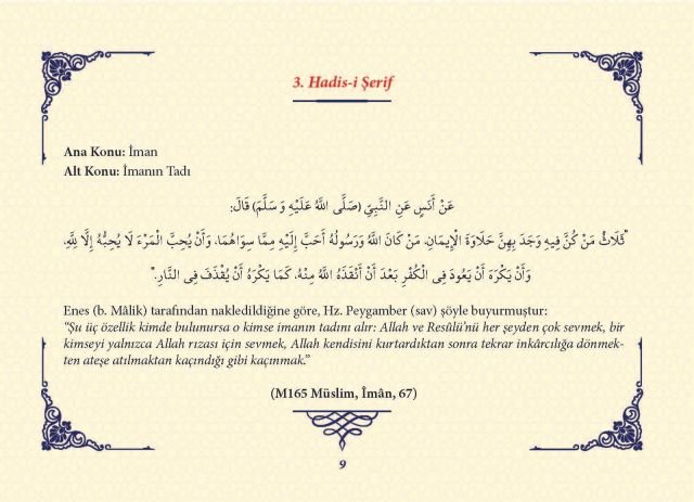 Sayfa 8