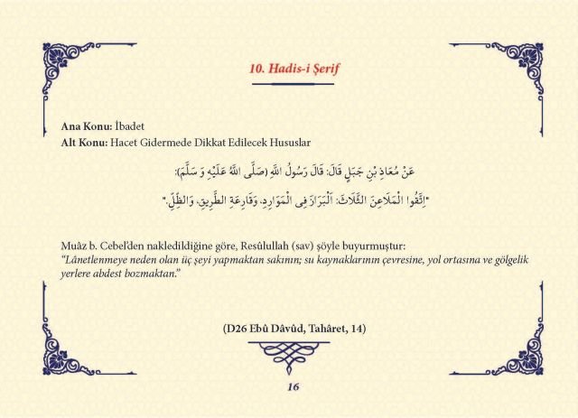 Sayfa 15