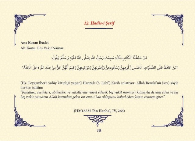 Sayfa 17
