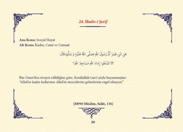 Sayfa 29