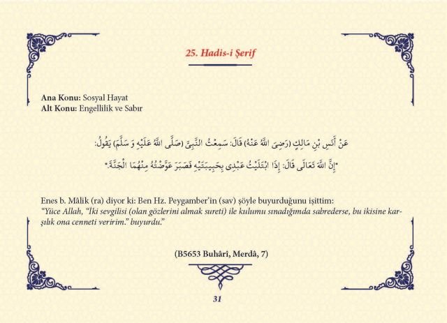 Sayfa 30