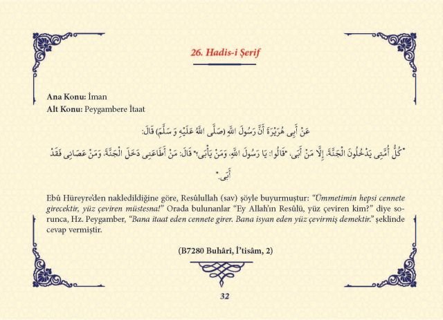 Sayfa 31