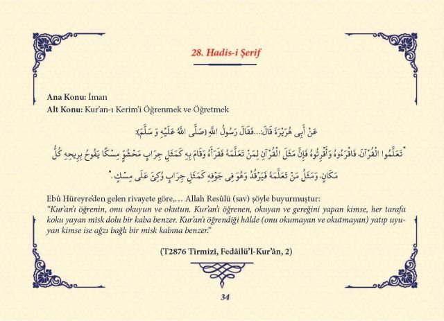 Sayfa 33