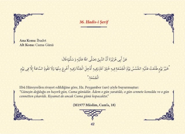 Sayfa 41