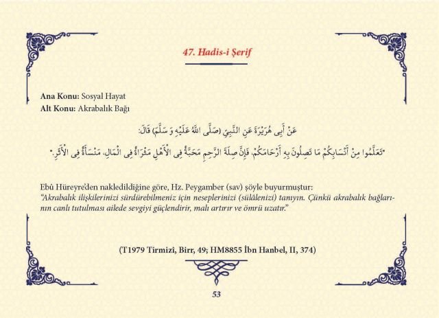 Sayfa 52
