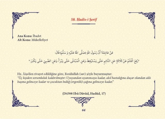 Sayfa 63