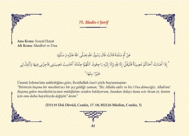 Sayfa 80