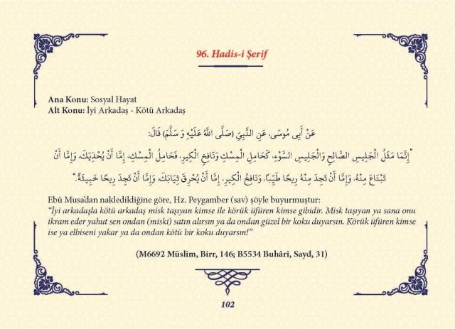 Sayfa 101